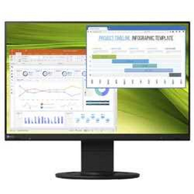 Eizo Monitor Flexscan...