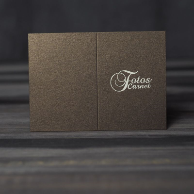 Carterilla Carnet Nº11...