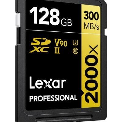 Lexar SD Pro Gold Series...